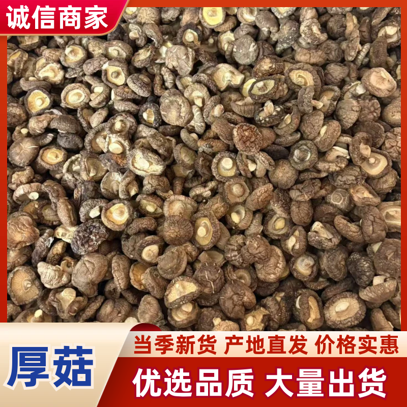 河南干香菇厚菇畸形菇小碎片大片规格全零售+批发