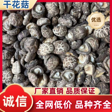 河南西峡干香菇精品花菇一手货源可零售可批发保质量