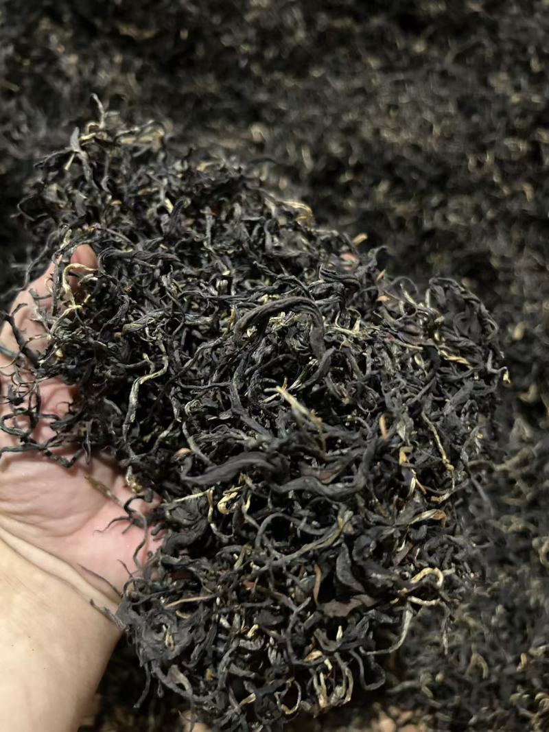 英红九号红茶品质保证服务周到一手货源价格美丽