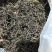 英红九号红茶品质保证服务周到一手货源价格美丽