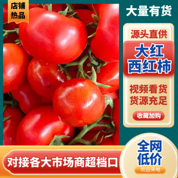精品【大红西红柿】货源充足价格合理欢迎来电