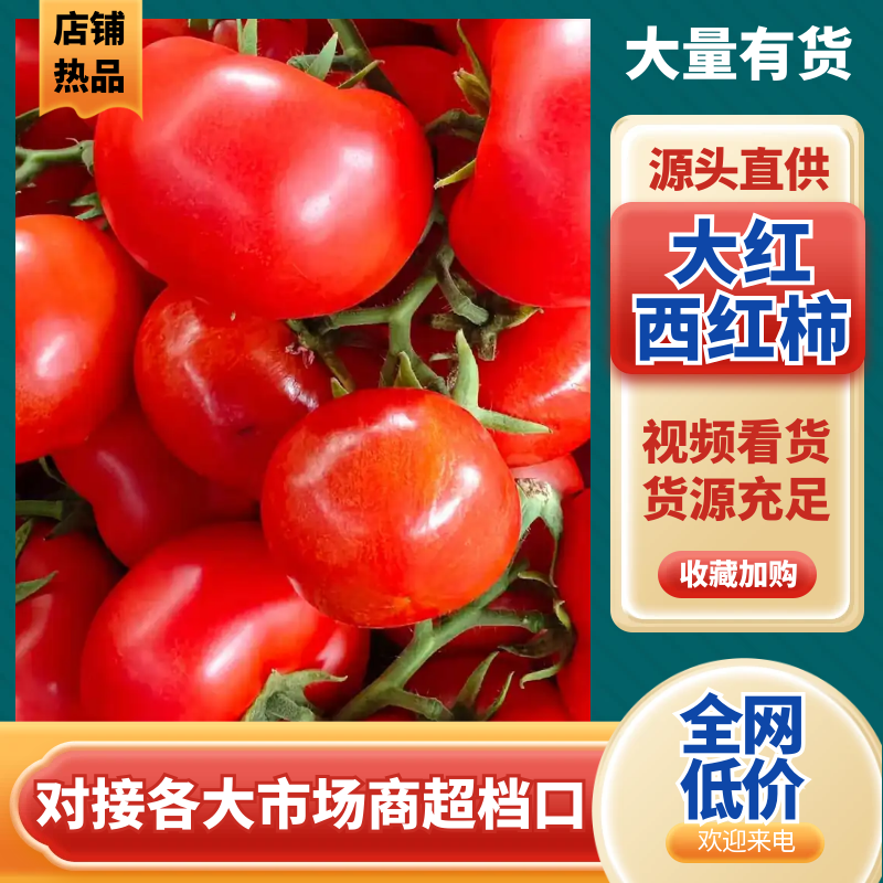 精品【大红西红柿】货源充足价格合理欢迎来电