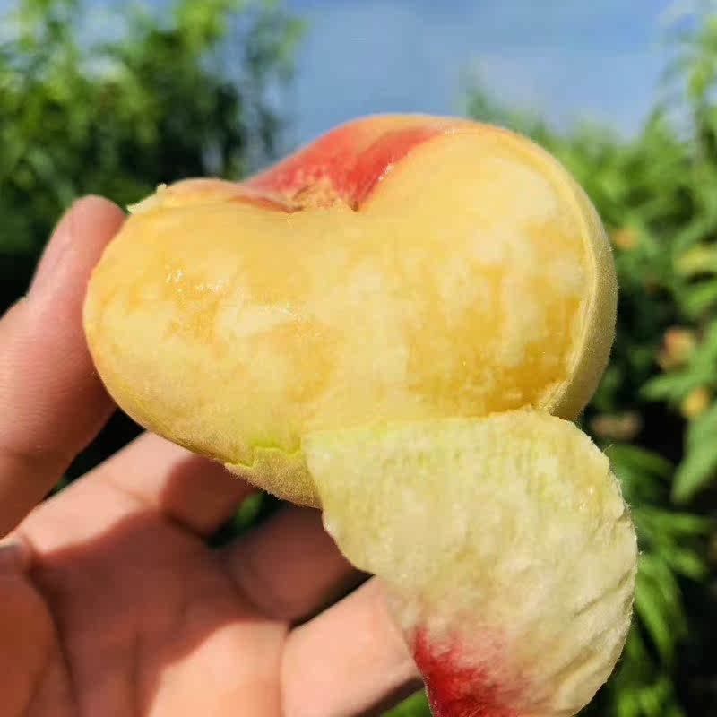 陕西王母毛蟠桃新鲜桃子水果应当季现摘蟠桃