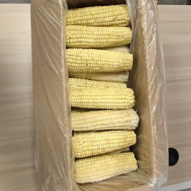 东北速冻精品白糯玉米冷库直发货源充足对接商超电商