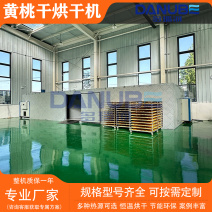 水果烘干机黄桃洗切烘干线水蜜桃草莓冻干机无花果杏李子烘房