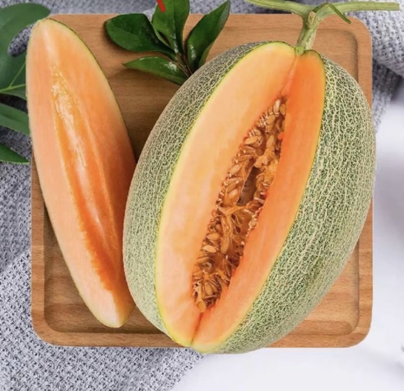 晓蜜25哈密瓜🍈产地直发量大从优可视频看货对接全国客商