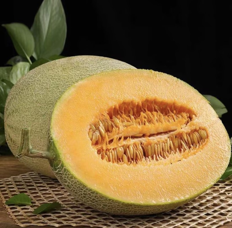 晓蜜25哈密瓜🍈产地直发量大从优可视频看货对接全国客商