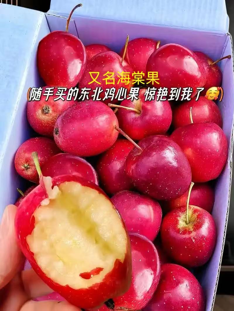 辽宁精品苹果/鸡心果海棠果/一手货源产地直发/量大价优