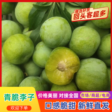 青脆李子《青脆李》量大从优，清爽脆甜，保质保量，代发全国