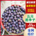 四川李子五月脆李子，量大从优，保质保量，可视频看货