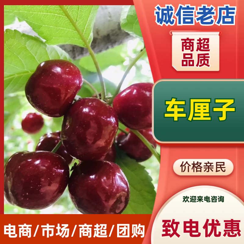 车厘子四川樱桃车厘子，产地一手货源，保质保量，价格可谈
