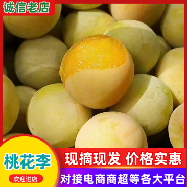 《桃花李》四川李子，产地直销，量大从优，可视频看货