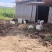 散养跑山兔依托深山自然环境全程一条龙服务可视频看货对接