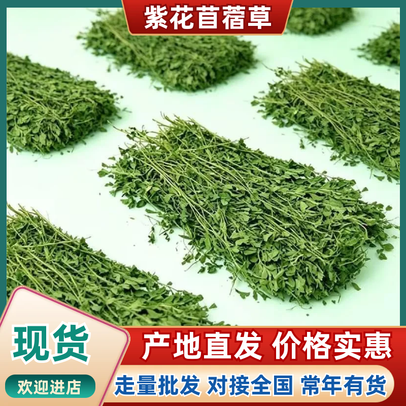 【精品】山东紫花苜蓿草厂家直销量大从优