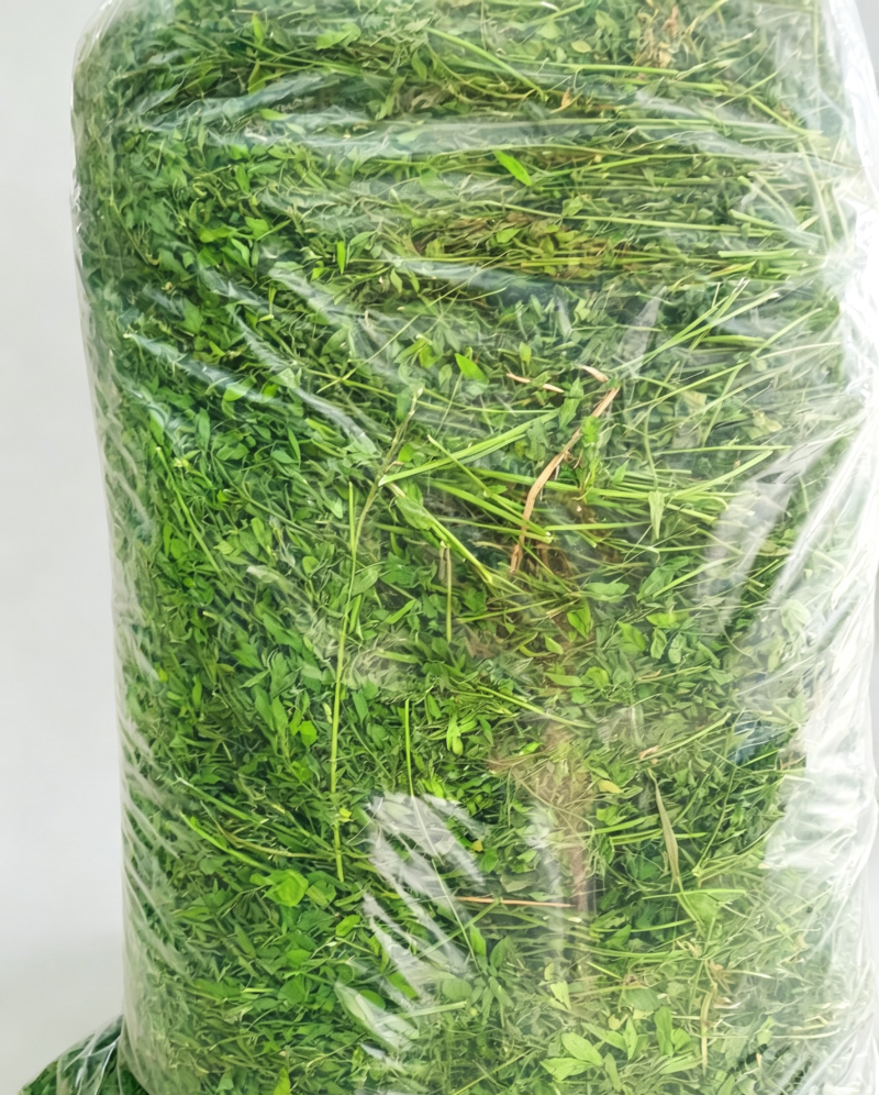 【热卖】苜蓿草大量现货供应，代发全国，可视频看货