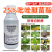 吡唑醚菌酯杀菌剂黄瓜霜霉病炭疽病白粉病叶斑病杀菌剂农药批