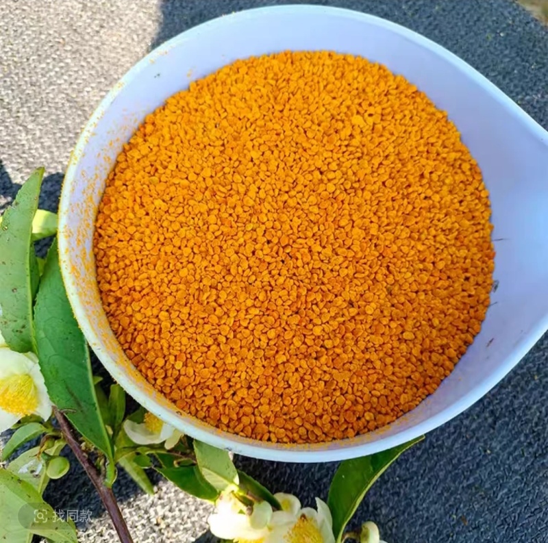 云南茶花粉蜂花粉油菜花粉古树茶花粉批发代发