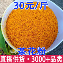 云南茶花粉蜂花粉油菜花粉古树茶花粉批发代发