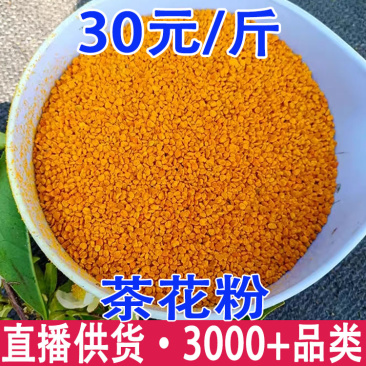 云南茶花粉蜂花粉油菜花粉古树茶花粉批发代发