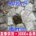 孤叶兰云南山货**孤叶兰孤叶兰批发代发
