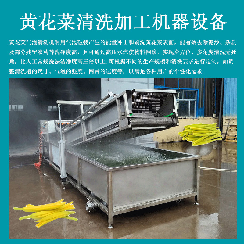 源头厂家直供全自动黄花菜加工流水线农户合作社专用设备