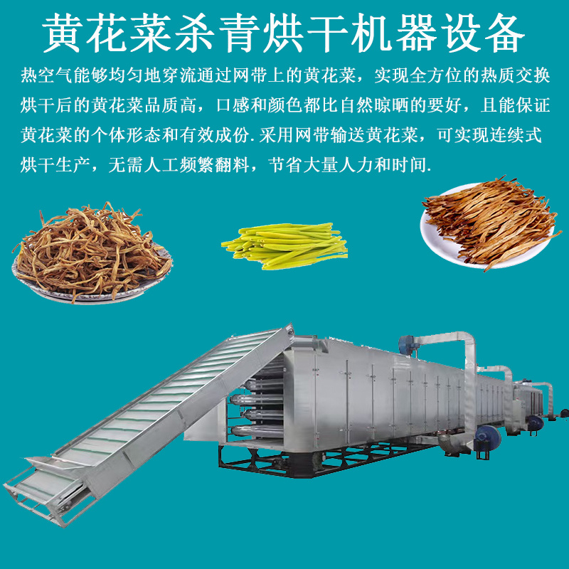 源头厂家直供全自动黄花菜加工流水线农户合作社专用设备