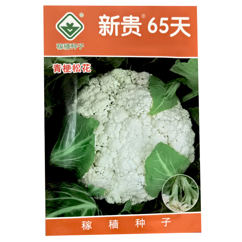 新贵65天青梗松花菜种子中生花球洁白2000粒大田基地种