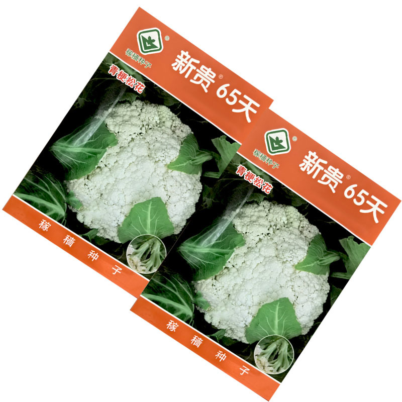 新贵65天青梗松花菜种子中生花球洁白2000粒大田基地种