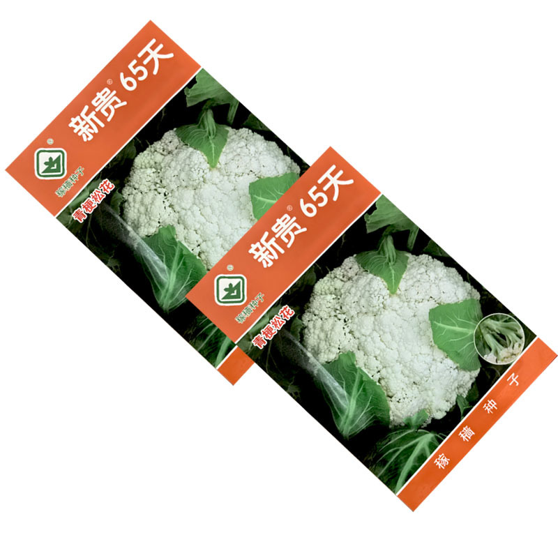 新贵65天青梗松花菜种子中生花球洁白2000粒大田基地种