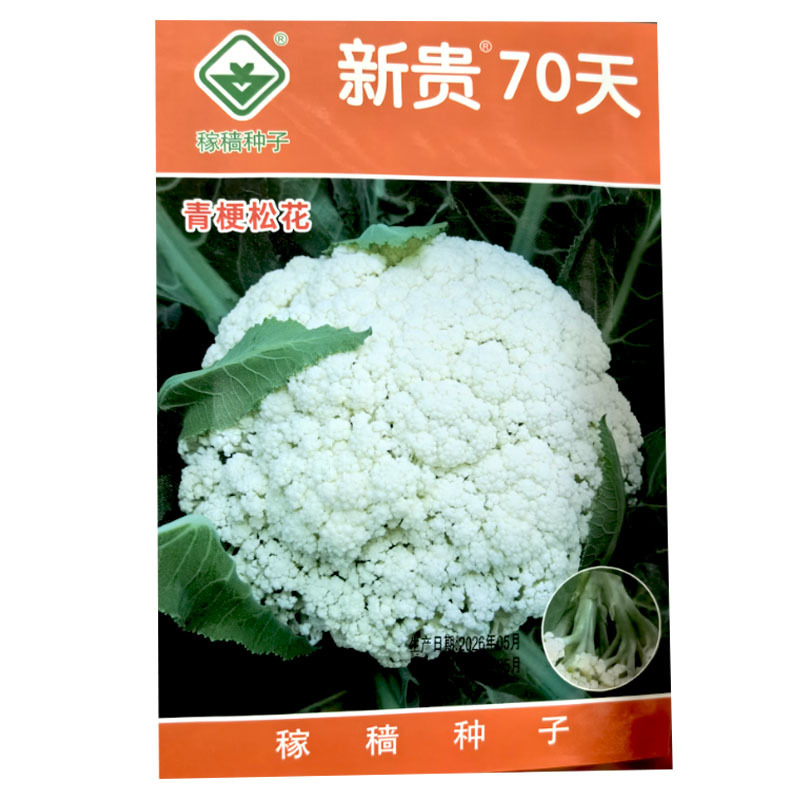 新贵70天青梗松花菜种子中生2000粒大田基地用种