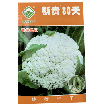 新贵80天青梗松花菜种子中晚熟2000粒花球洁白大田基地