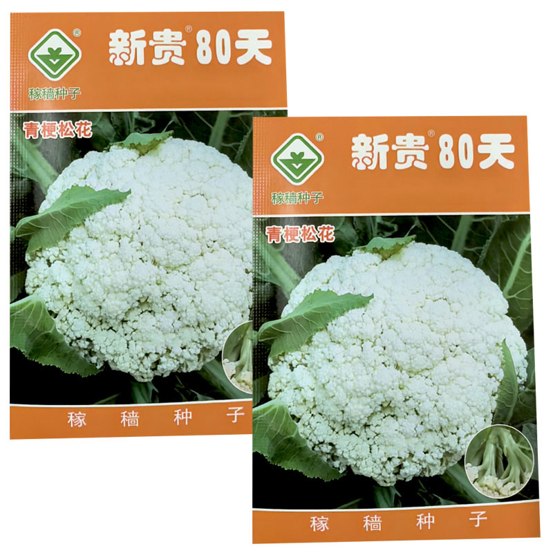 新贵80天青梗松花菜种子中晚熟2000粒花球洁白大田基地