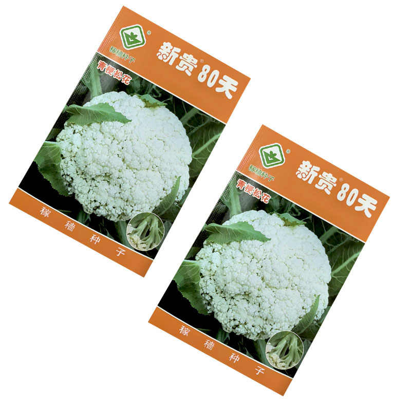 新贵80天青梗松花菜种子中晚熟2000粒花球洁白大田基地