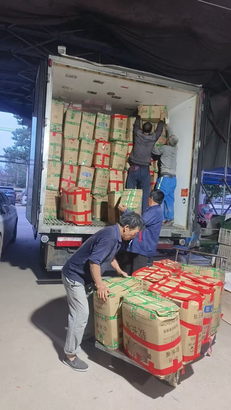 【小米椒】精品小米辣鲜辣椒对接各大电商平台