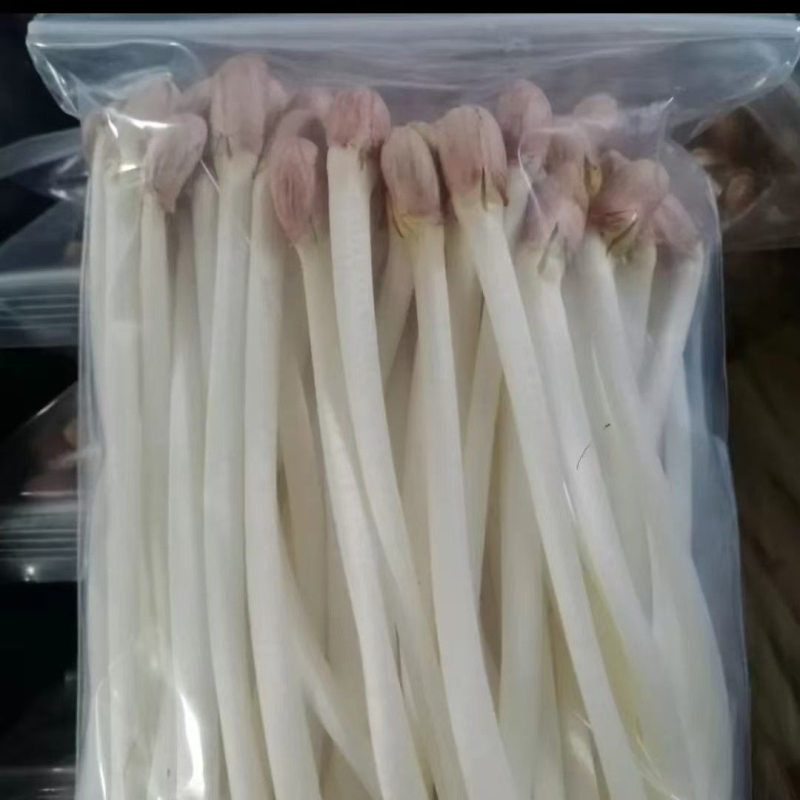 【热卖】花生芽花生芽种植基地直供对接批发量大从优