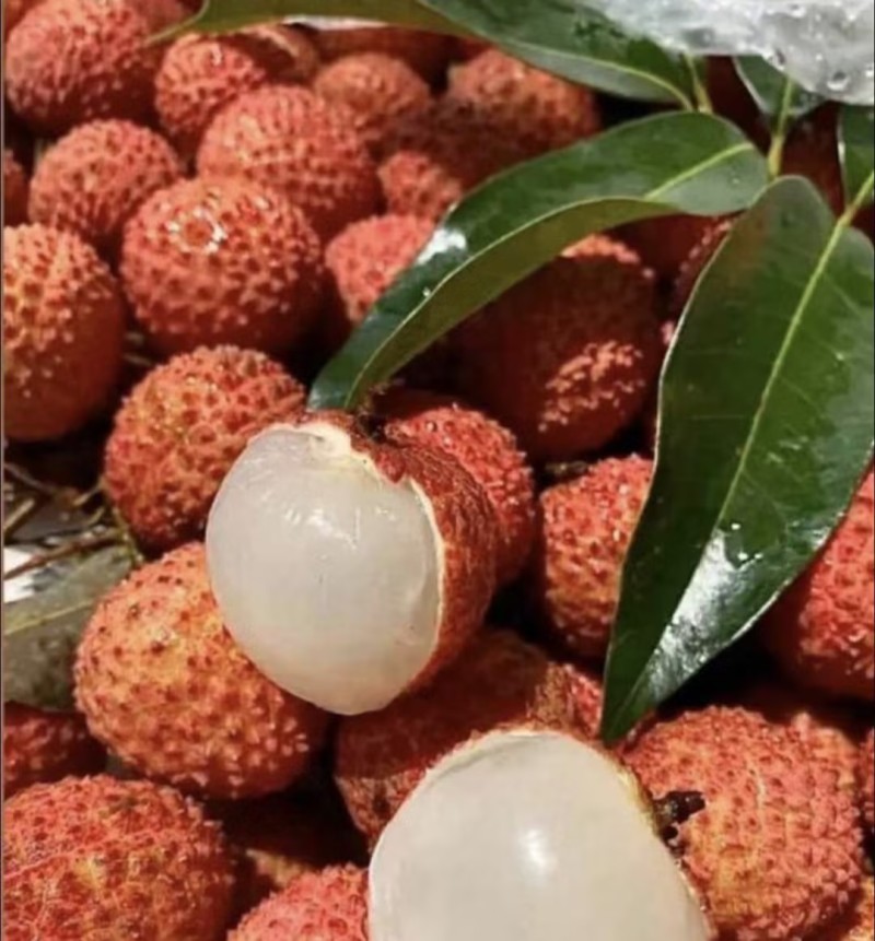 贵妃红荔枝贵妃荔枝六月红荔枝红皮大果荔一条龙服务可视频