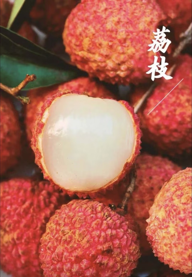 贵妃红荔枝贵妃荔枝六月红荔枝红皮大果荔一条龙服务可视频