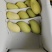 鹰嘴芒芒果量大质优保质保量价格优惠欢迎联系