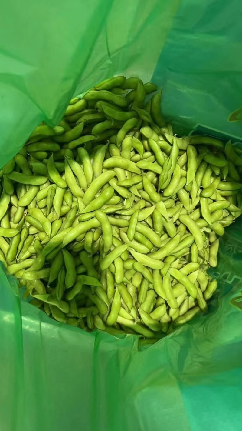 山东毛豆自家货源一手价格现场看货满意再装提供各种包装按需分拣