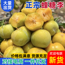 【一件可发】蜂糖李高端品质可对接全国电商市场商超包售后