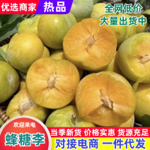 蜂糖李对接各大电商平台社区快手抖音拼多多支持一件可发