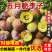 【一件可发】精品李子五月脆李子几十万斤可对接全国电商等