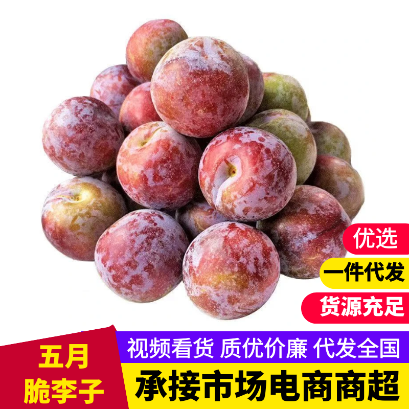 【一件可发】精品李子五月脆李子几十万斤可对接全国电商等