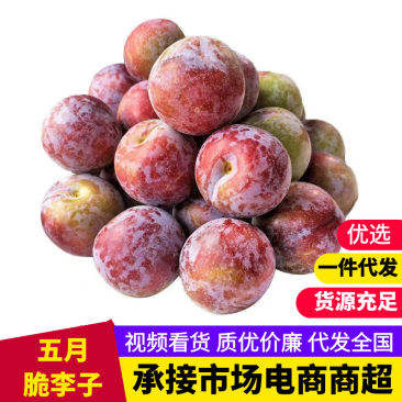 四川青脆李，五月脆半边红李子对接各大电商，一件代发