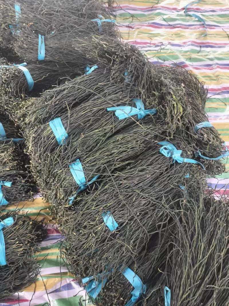 山东干豆角烘干干豆角大量有货一手货源可视频看货