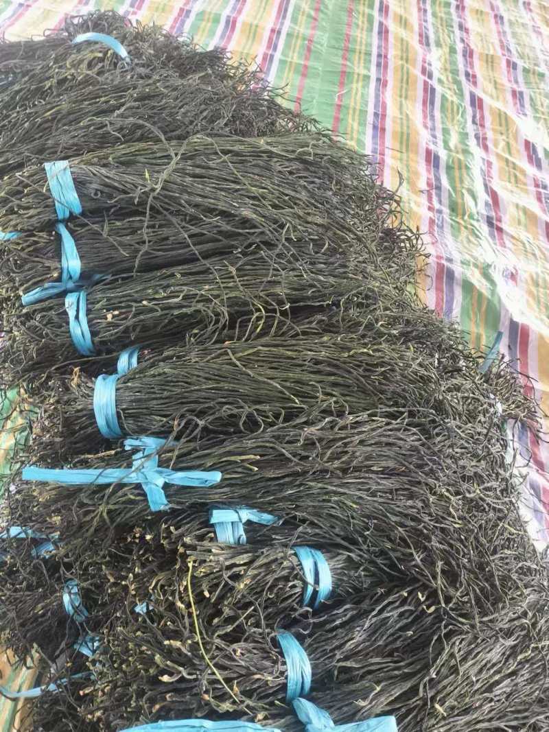山东干豆角烘干干豆角大量有货一手货源可视频看货