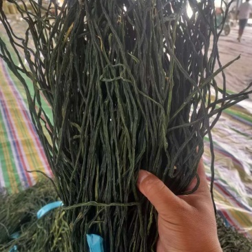山东干豆角烘干干豆角大量有货一手货源可视频看货