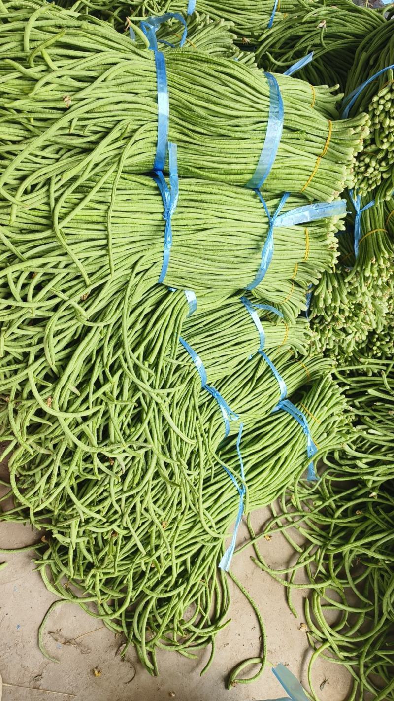 山东长豆角精品青条豆角对接电商市场商超视频看货