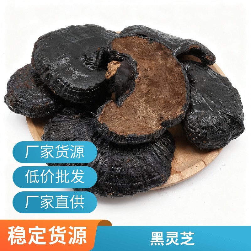 山东产地黑灵芝干货整朵家用煲汤泡水原料散装批发