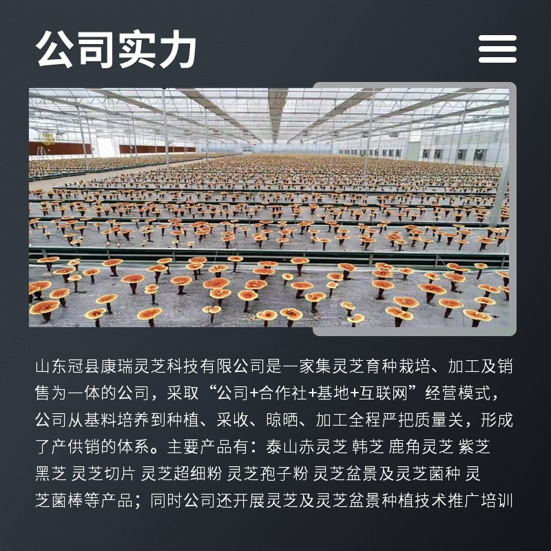 山东产地黑灵芝干货整朵家用煲汤泡水原料散装批发